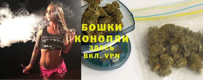 Конопля OG Kush  Шумерля 